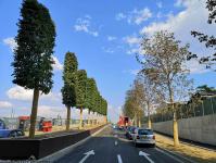 Imagine atasata: Iulius Town - 2019.08.30 - 72.jpg